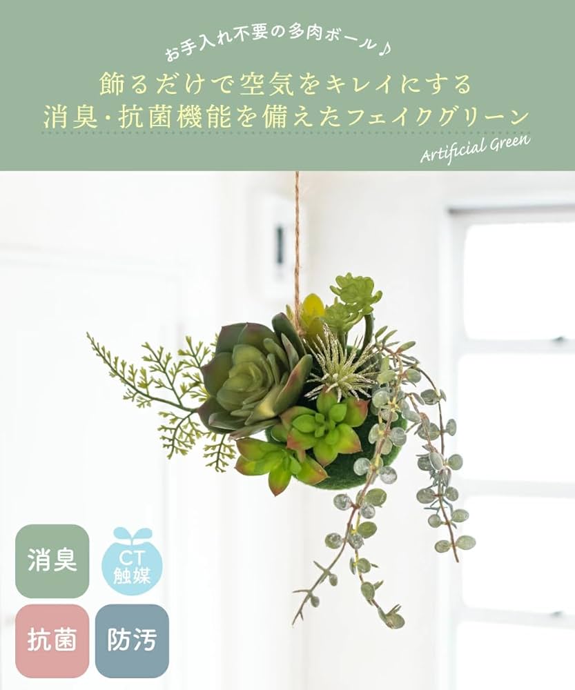 Amazon｜フェイクグリーン ミニ 吊り下げ 消臭 多肉植物 苔玉 空気清浄